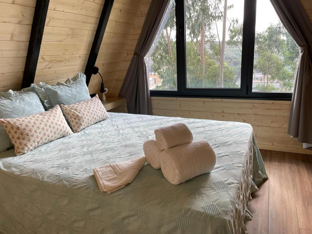 Medronho D'Ouro Bungalows Foz do Sousa Dış mekan fotoğraf